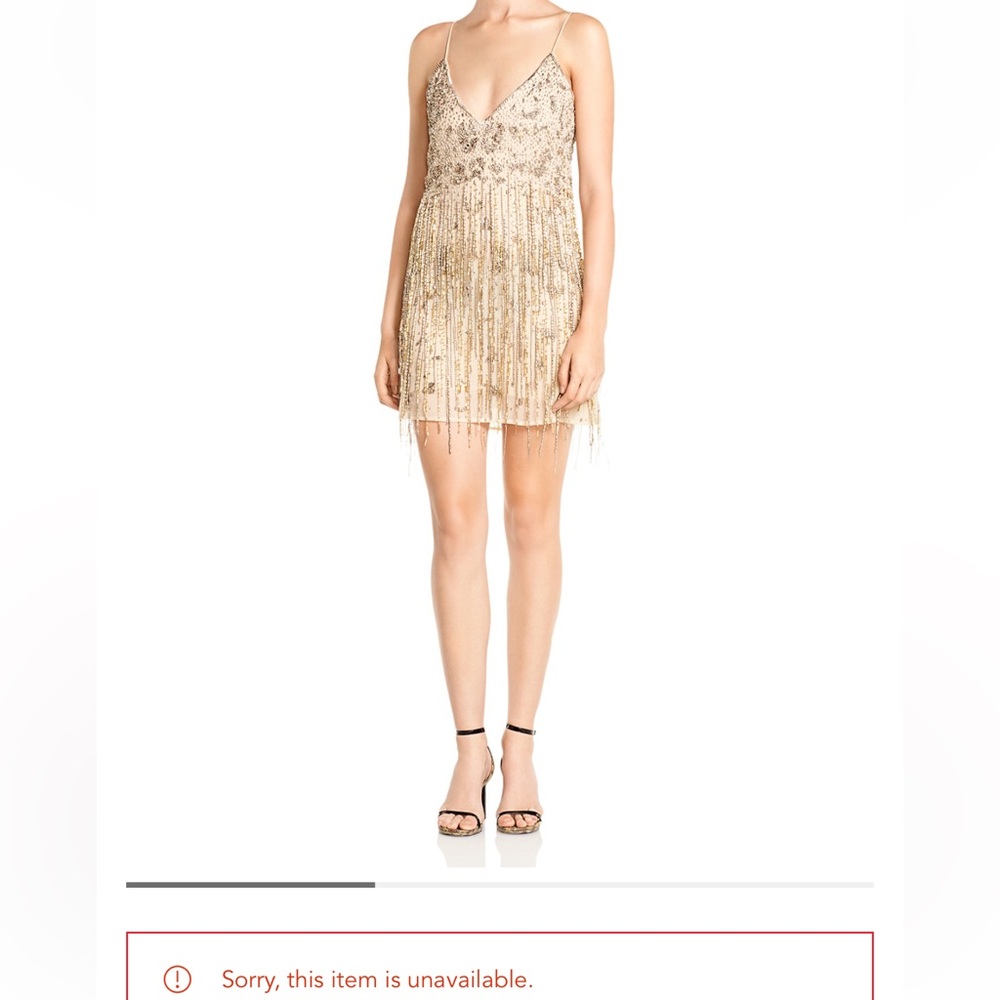 Haute Hippie Taken Embellished Mini Dress | Size 4 | NWT | Buff